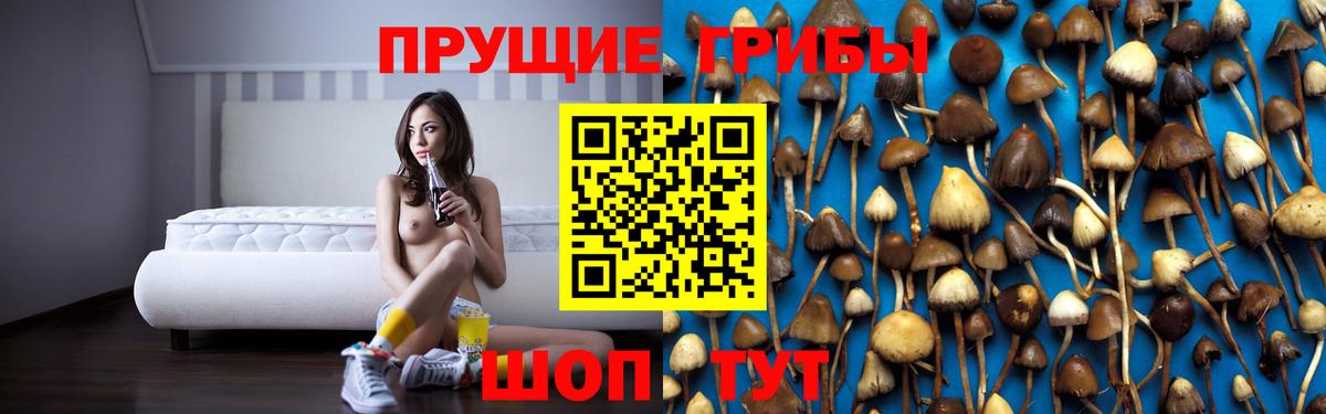 Троицк  Галлюциногенные грибы Magic Shrooms  Вход с VPN 